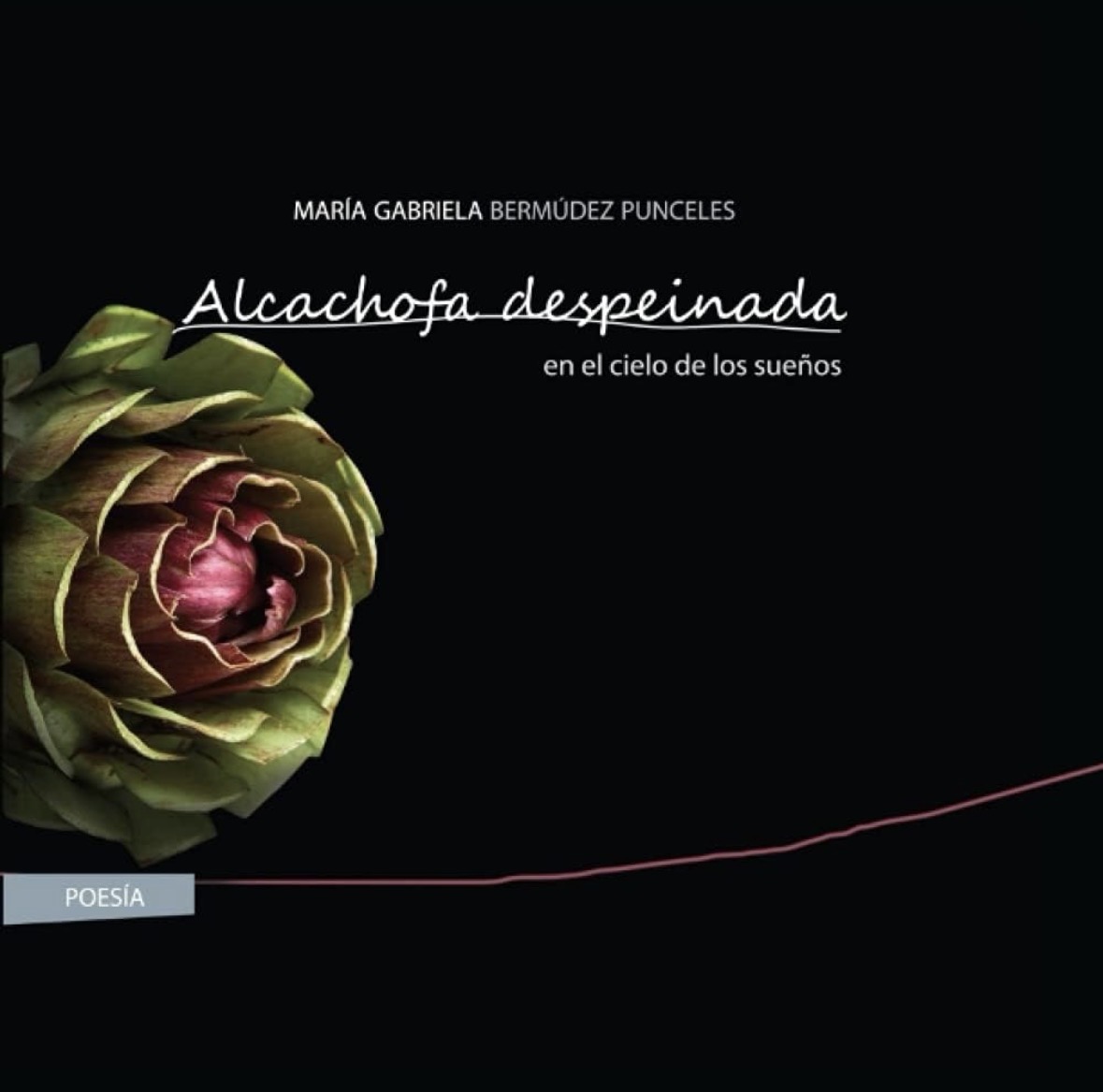 Portada de Alcachofa despeinada en el cielo de los sueños, de María Gabriela Bermúdez Punceles: una alcachofa sobre fondo negro